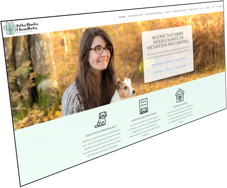 Capture du site Pattes Blanches et Bienveillantes, conçu pour présenter une activité de médiation par l’animal et faciliter la prise de contact.